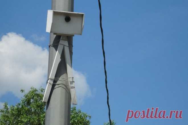 Нас штрафует на дорогах не ГИБДД, а коммерческая структура Автодория... | Выживи сам