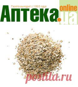 Овсянка, сэр! В чем польза этого продукта для здоровья?