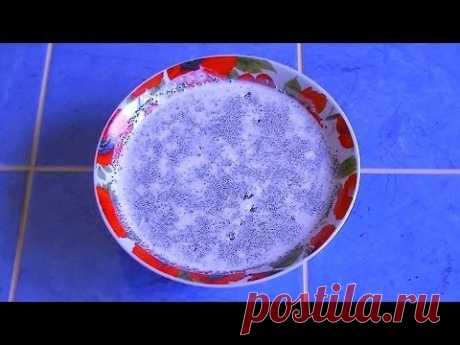 Маковая начинка для пирогов, булочек, рулетов