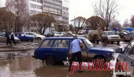 Выгода от паводка...