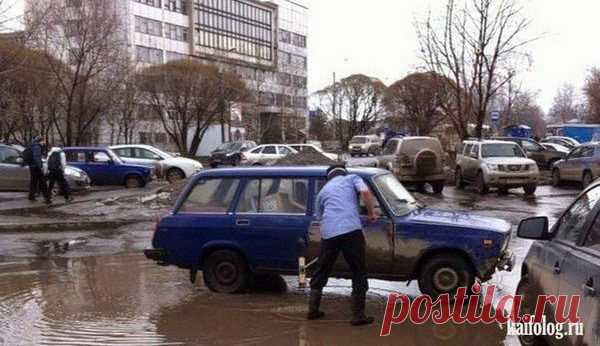 Выгода от паводка...