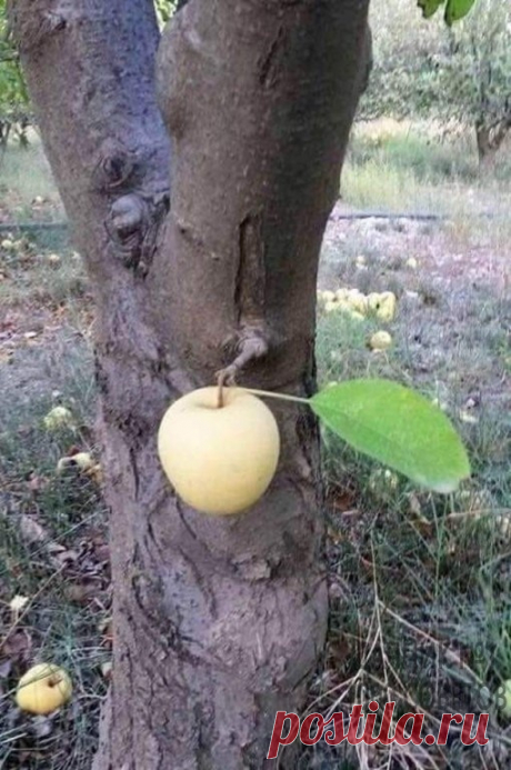 …И такое тоже бывает…!!