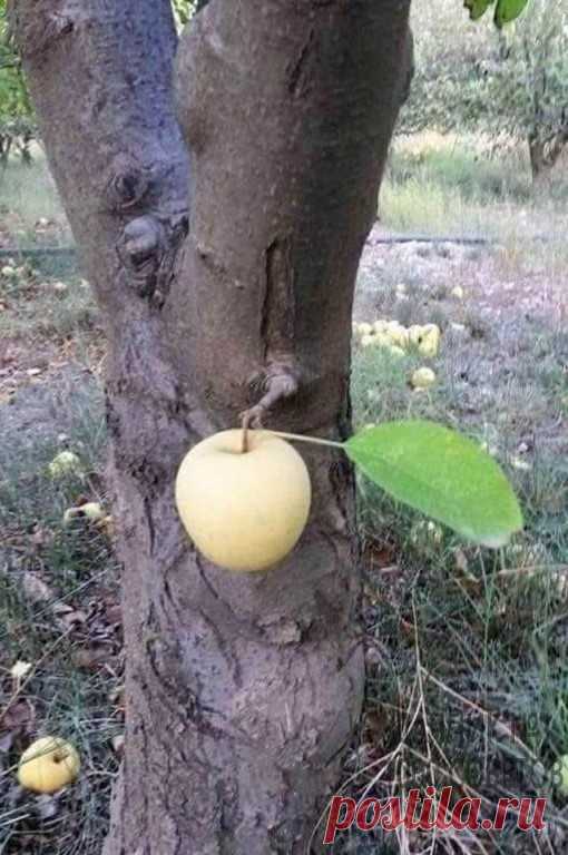 …И такое тоже бывает…!!