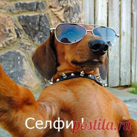 Ruland Rulander