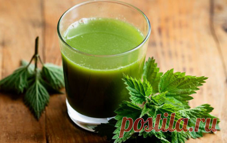 КАК ОЧИСТИТЬ КРОВЬ И УЛУЧШИТЬ ЕЕ СОСТАВ?  

Хотите удивить врача идеальным анализом крови без приема дорогостоящих препаратов? Тогда пробуйте лекарства из природной аптеки. 

Лучшие рецепты. 

 Отвар корня одуванчика (сбор весенний или осенний). 
Заварить 5 г измельченного корня 200 мл кипятка, настаивать 20 мин., охладить, процедить, принимать по 2 ст. ложке за 30 мин. до еды, 

 Сок листьев одуванчика (сбор в начале цветения). 
Принимать по 50-100 мл ежедневно. 

 Черник...