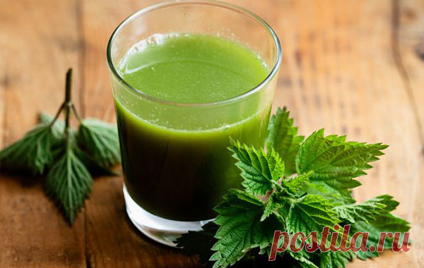 КАК ОЧИСТИТЬ КРОВЬ И УЛУЧШИТЬ ЕЕ СОСТАВ?  

Хотите удивить врача идеальным анализом крови без приема дорогостоящих препаратов? Тогда пробуйте лекарства из природной аптеки. 

Лучшие рецепты. 

 Отвар корня одуванчика (сбор весенний или осенний). 
Заварить 5 г измельченного корня 200 мл кипятка, настаивать 20 мин., охладить, процедить, принимать по 2 ст. ложке за 30 мин. до еды, 

 Сок листьев одуванчика (сбор в начале цветения). 
Принимать по 50-100 мл ежедневно. 

 Черник...