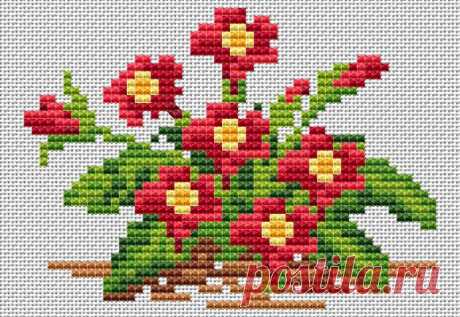 Gallery.ru / Симпатичная примула - Цветы и прочая растительность/Flowers/freebies - Jozephina