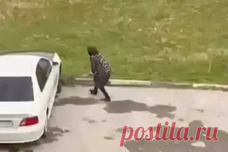 Жительница Грозного избила палкой бездомного щенка и попала на видео. Жительница Чечни, которой не нравятся бездомные собаки, избила палкой щенка. На записи видно, что животное визжит и пытается спрятаться под припаркованную машину, но россиянка настигает его и продолжает наносить удары, в том числе ногами. Видео попало к местному участковому, который сделал женщине выговор.