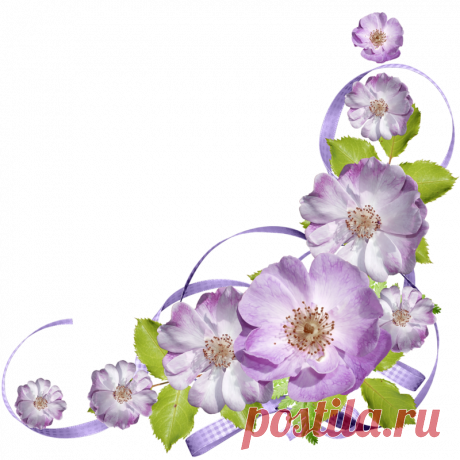 Esquinas florales - Diseño de web