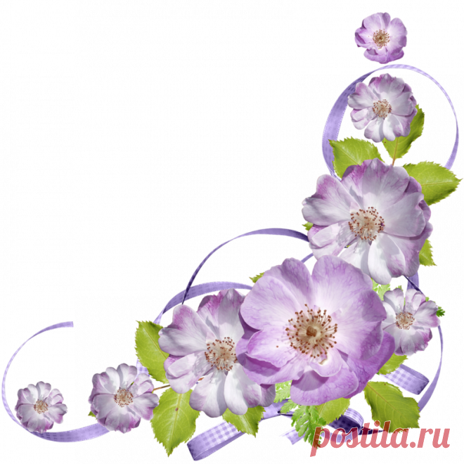 Esquinas florales - Diseño de web