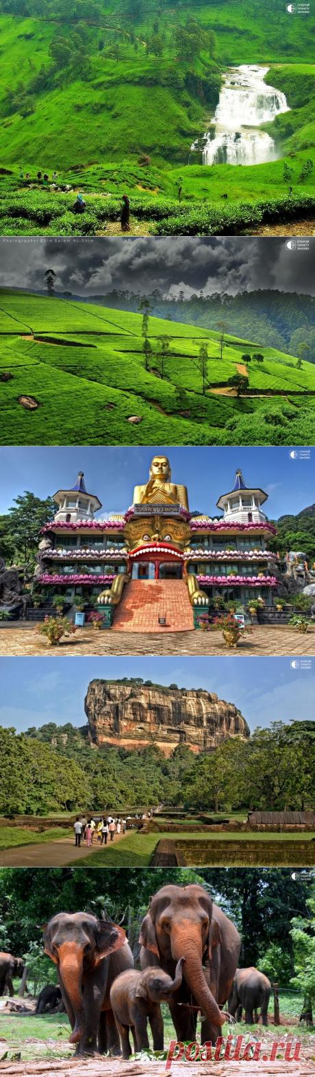 Удивительная Шри-Ланка - Путешествуем вместе