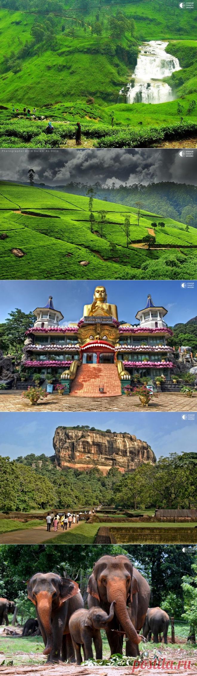 Удивительная Шри-Ланка - Путешествуем вместе