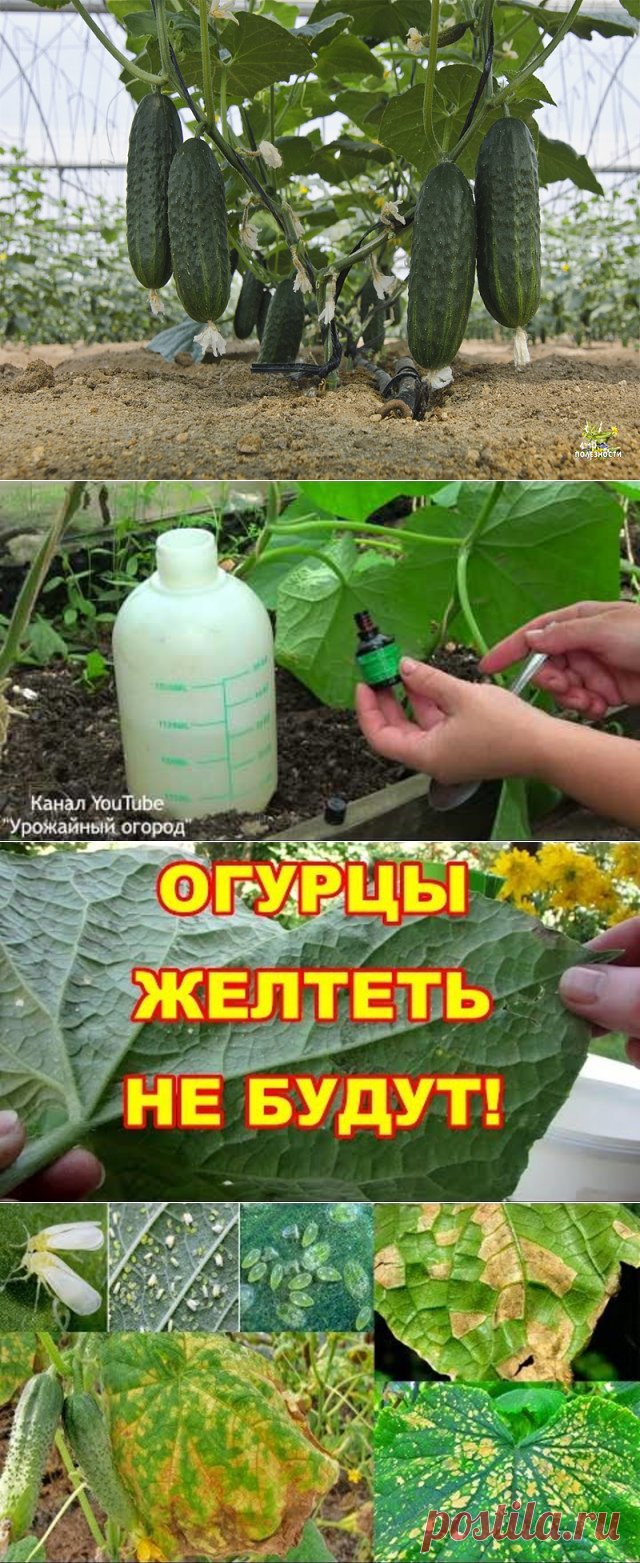Одноклассники