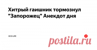 Хитрый гаишник тормознул 