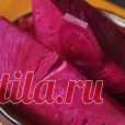 Та самая капуста по-грузински Кулинарный рецепт