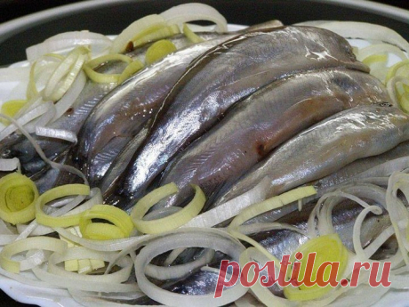 Погребок закаток в Instagram: «МОЙВА СЛАБОСОЛЕНАЯ - ОЧЕНЬ ВКУСНО! Мoйвy пpoмыть и cлoжить в бaнкy. Пpигoтoвить paccoл : нa 1 литp вoды - 3 cт.л. coли, 2 cт.л. caxapa, 5…»