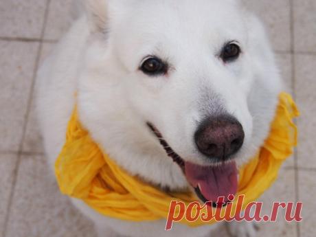 Бохо - это смешение нескольких стилистических направлений в моде, таких как хиппи, фольклор, сафари, милитари, этнические мотивы и даже винтаж.