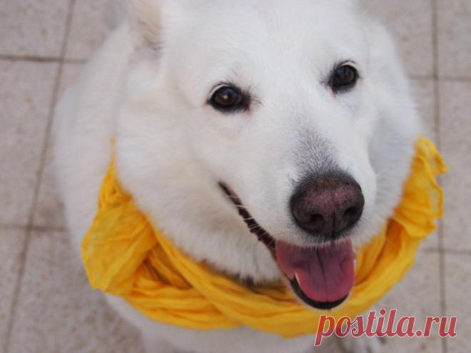 Бохо - это смешение нескольких стилистических направлений в моде, таких как хиппи, фольклор, сафари, милитари, этнические мотивы и даже винтаж.