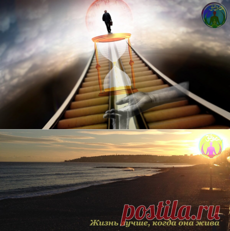 Трилогия. Цитата, понимание которой пришло только сейчас. Часть 3 "Мы быстры, только когда нет времени." | ЗОЖ путь изнутри вовне | Яндекс Дзен