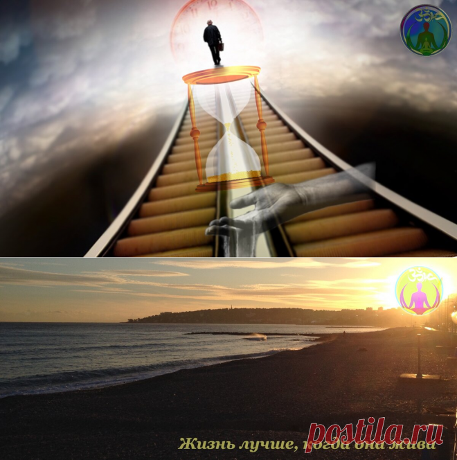 Трилогия. Цитата, понимание которой пришло только сейчас. Часть 3 "Мы быстры, только когда нет времени." | ЗОЖ путь изнутри вовне | Яндекс Дзен