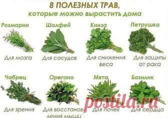 То, что сделает с твоей печенью 1 стакан этого напитка, можно назвать настоящим чудом! 

Если печень перегружена или плохо работает, мы сразу же это чувствуем. Слабость, нехватка энергии, головокружение, тошнота, боль в правом подреберье, проблемы с пищеварением и кожная сыпь — всё это признаки того, что с печенью непорядок. 

Очищение печени в домашних условиях возможно благодаря простому рецепту мятно-лимонного напитка! Абсолютно безопасное средство, которое тут же улучш...