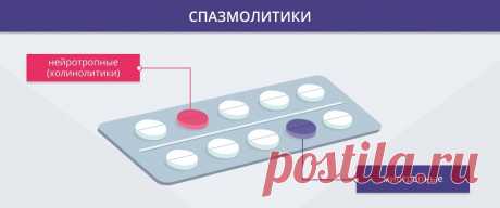 Спазмолитики: что это, их виды, применение и нюансы выбора спазмолитических препаратов