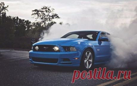 Ford Mustang GT 5.0 / Только машины