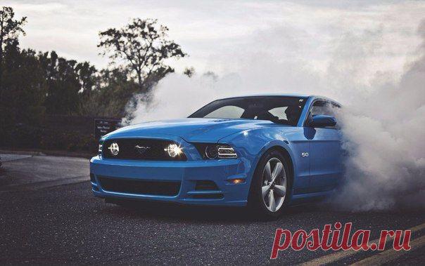 Ford Mustang GT 5.0 / Только машины