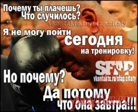 эффект плато при диетах | Блог Ярослава Брина