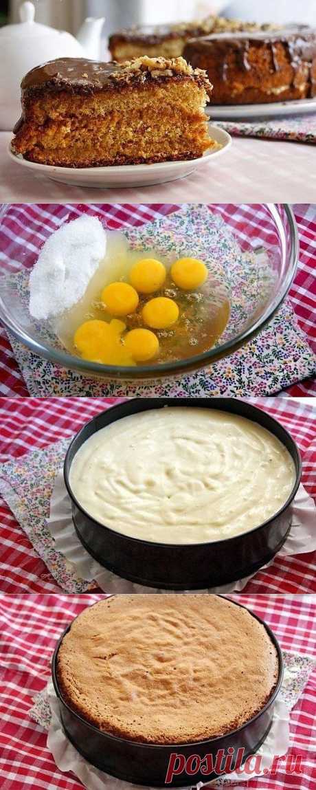 Медовый бисквит.