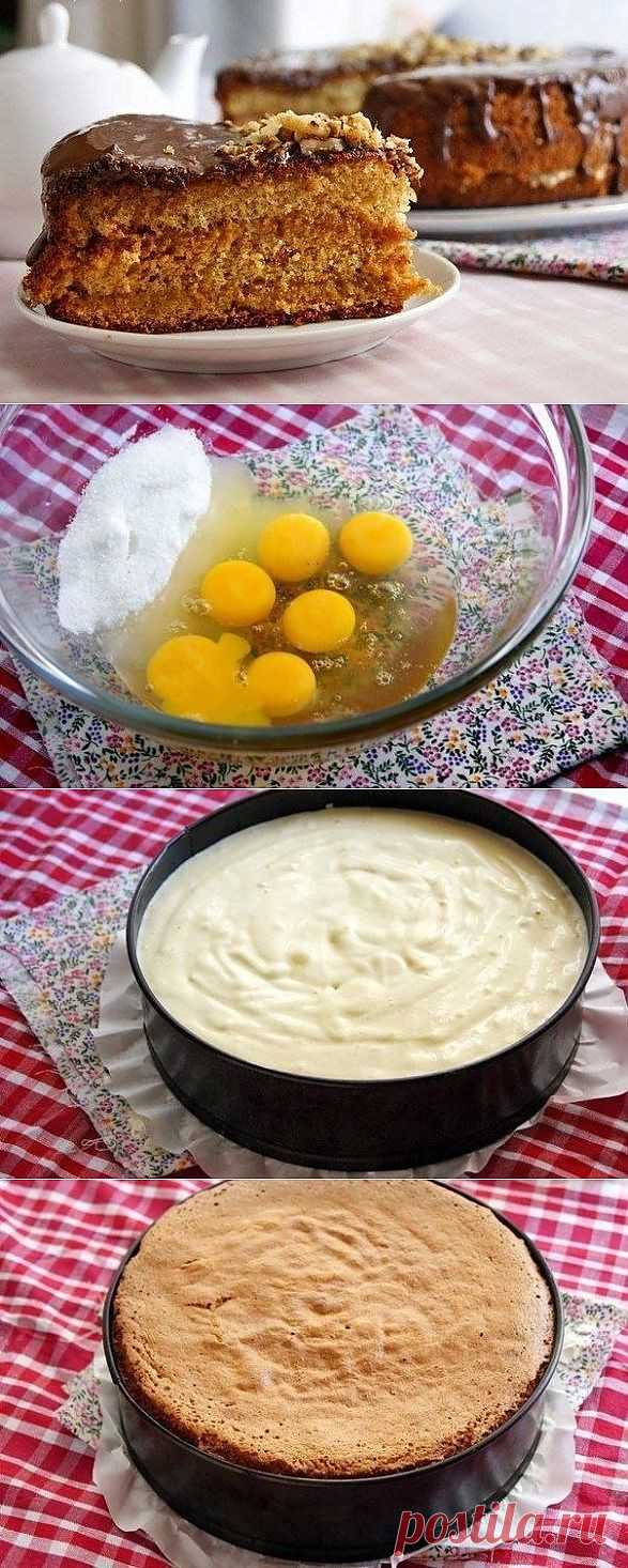Медовый бисквит.
