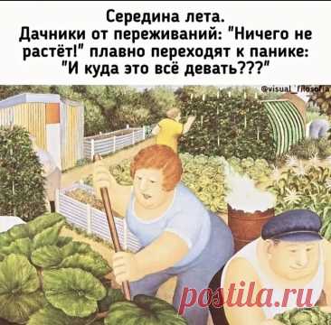 Выпуск №6516 - выпуск анекдотов сайта вокруг смеха