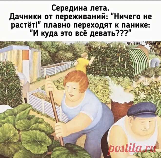 Выпуск №6516 - выпуск анекдотов сайта вокруг смеха