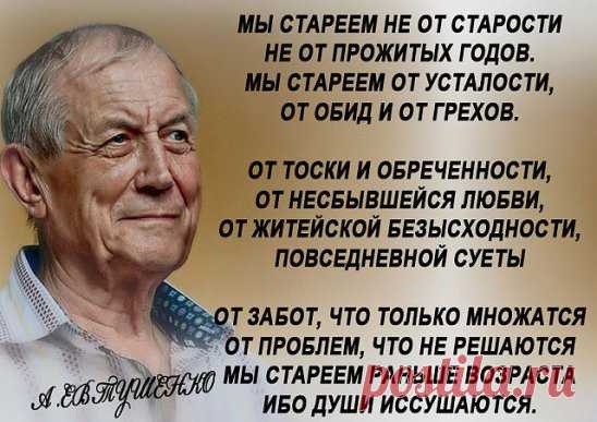 Замечательные стихи.