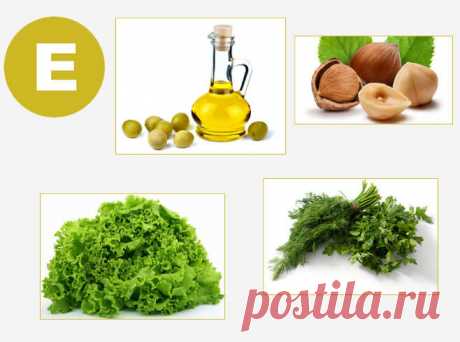 Продукты, содержащие витамины А и Е — Бабушкины секреты