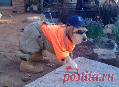 Боец невидимого фронта