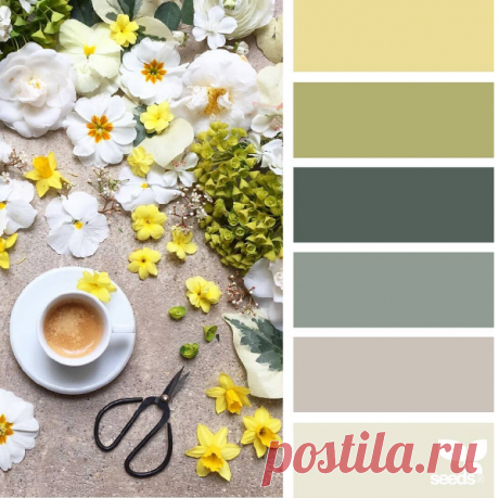 jessica colaluca (@designseeds) • Фото и видео в Instagram