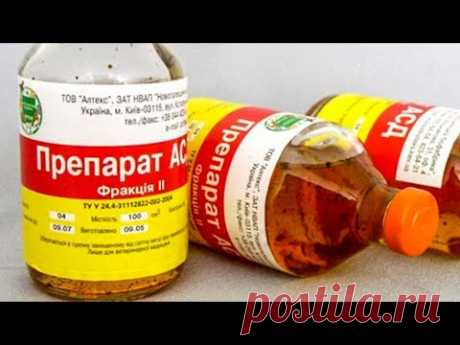 МОГУЧЕЕ ЛЕКАРСТВО, которое ЗАСЕКРЕТИЛА Медицина в СССР (из архивов НКВД)