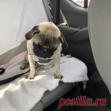 Маленьких обидеть может каждый.