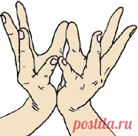 Мудра лотоса связана с сердечной чакрой