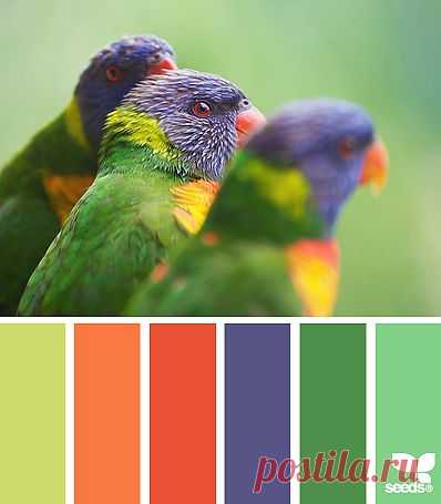 Design Seeds® | find your palette