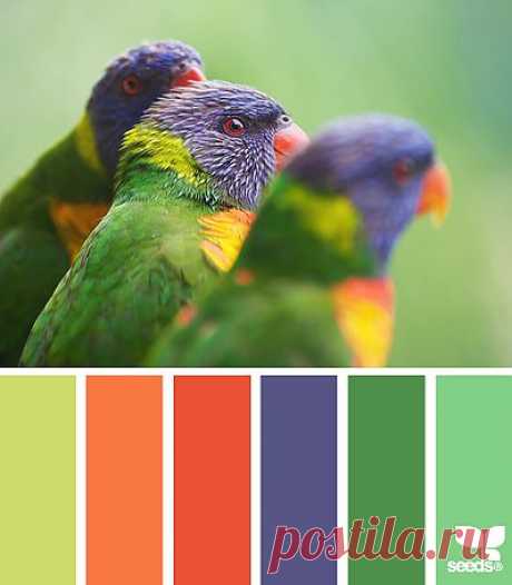 Design Seeds® | find your palette