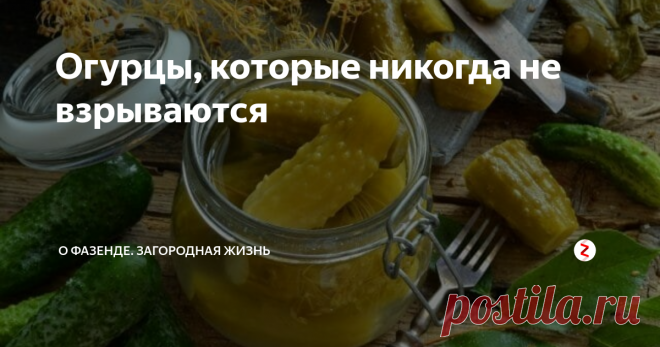 Огурцы, которые никогда не взрываются Хрустящие маринованные огурцы с потрясающим кисло-сладким вкусом – мечта каждого любителя зимних заготовок. Но летняя жара – не лучшее время для многочасовой стерилизации.