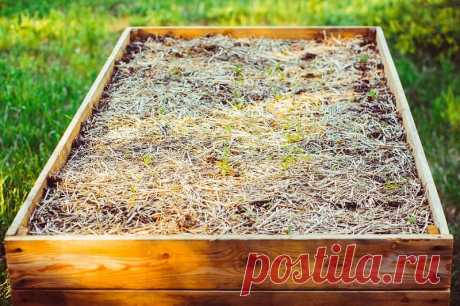 Тёплые грядки осенью. Ещё один вариант, который приносит успех. Сегодня, мы будем делать даже не тёплые грядки, а «горячие», как называет их сам автор.