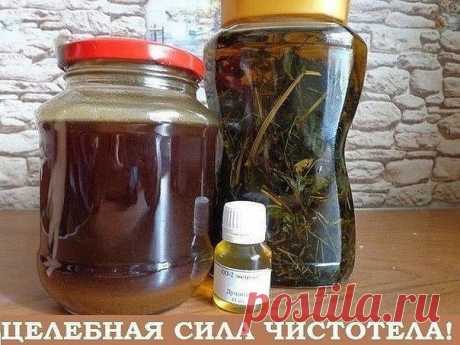 ПОЛЕЗНЫЕ СОВЕТЫ :
Сохраните, чтобы не потерять.

СОВЕТ 1 : У чистотела есть одна очень интересная особенность. Он сразу отыскивает корень болезни. Если сок или порошок поместить на биологически активную точку, то наблюдается мгновенная трансформация, перенос его к источнику болезни.

У нас чистотел нередко называют русским женьшенем. Применять его можно в виде сока, отвара, настойки, экстракта. О целебных свойствах чистотела люди знают с древнейших времен.

Для лечения гла...