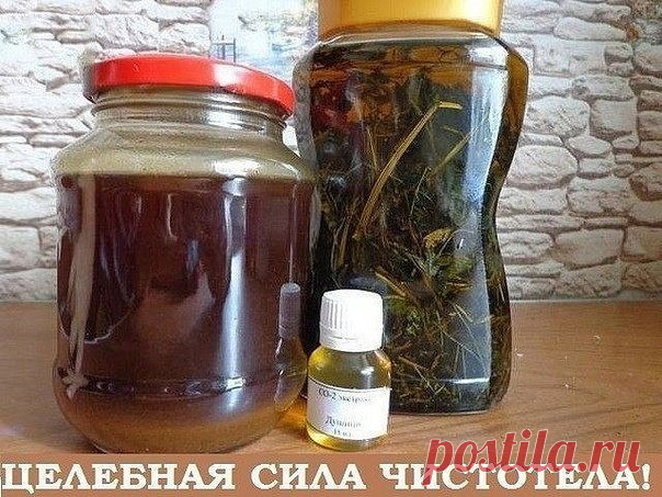 ПОЛЕЗНЫЕ СОВЕТЫ :
Сохраните, чтобы не потерять.

СОВЕТ 1 : У чистотела есть одна очень интересная особенность. Он сразу отыскивает корень болезни. Если сок или порошок поместить на биологически активную точку, то наблюдается мгновенная трансформация, перенос его к источнику болезни.

У нас чистотел нередко называют русским женьшенем. Применять его можно в виде сока, отвара, настойки, экстракта. О целебных свойствах чистотела люди знают с древнейших времен.

Для лечения гла...