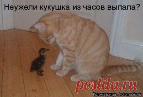 Интересные новости