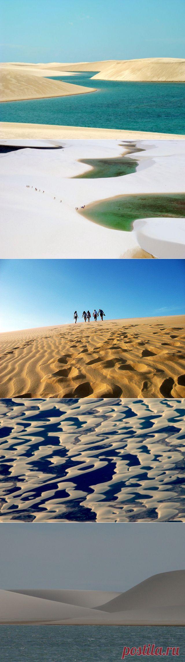 Белое безмолвие — Наука и жизнь