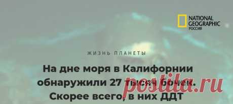 На дне морском у берегов Калифорнии ученые с помощью сонара распознали аж 27 000 бочек. Что в них – пока загадка, но практически ни у кого нет сомнений: в бочках находятся токсичные отходы, а именно ДДТ. Их протечка может вызвать целую экокатастрофу (или уже).