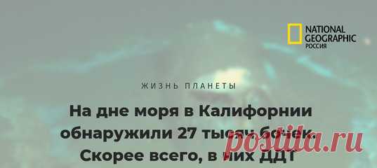 На дне морском у берегов Калифорнии ученые с помощью сонара распознали аж 27 000 бочек. Что в них – пока загадка, но практически ни у кого нет сомнений: в бочках находятся токсичные отходы, а именно ДДТ. Их протечка может вызвать целую экокатастрофу (или уже).
